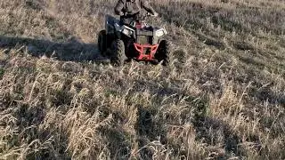 ATV Crash