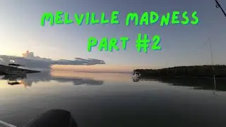 Melville Madness 2