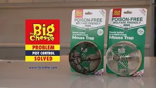 (Live Catch and Release) Ready-Baited Multi-Catch Live Mouse Trap 2 Colours STV043