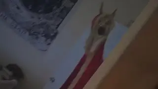I Summoned Krampus The Christmas Devil On Livestream