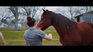 Sony a7iii cinematic reel s-log2 color graded