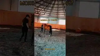 ⚡я всегда онлайн в телеграме - @eqvirey