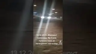 Путешествие за нашими ненецкими лаечками