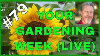 Building Better Garden Soil (Q&A)