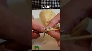 Can A BEGINNER Learn to CROCHET with the WOOBLES? 