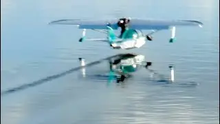 Buck Landing on a Mirror