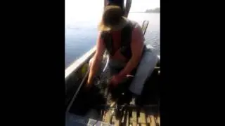 Бешенная рыба