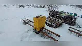 Пасека 12 февраля. Жизнь пчёл продолжается. Обзор.