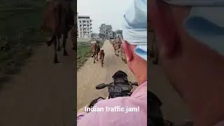 Indian traffic jam