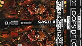 [FREE] TRAVIS SCOTT LOOP KIT / SAMPLE PACK - CACTI 2 (DON TOLIVER, CUBEATZ, OZ, DARK, PVLACE)
