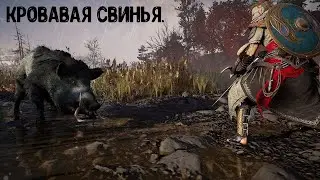 Assassin's Creed Valhalla. Как убить Кровавую свинью.
