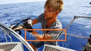 Just sea fishing and nothing more | Cupiditas | Купидитас