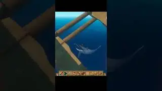 АКУЛА ХОЧЕТ ЗАТИМИТЬСЯ В RAFT 