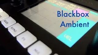 Organ Droner | 1010Music Blackbox Ambient jam