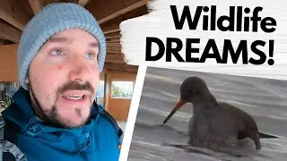 The Wildlife Walk Beat my Expectations!