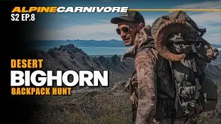 Epic Sonora Mexico Desert Bighorn Sheep Hunt!