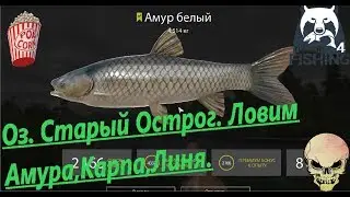 Russian Fishing 4. Oz. Old Ostrog. Check the old point-Cupid, Karp, Lin.