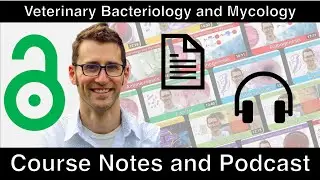 Course Notes Now Available!