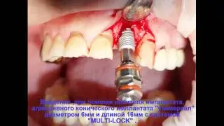 Портфолио работ профессора Мушеева И.У.