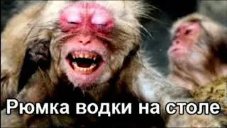 КОРПОРАТИВЧИК