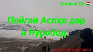 Пойгаӣ аспдавонӣ дар н. Нуробод .