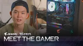 Meet the Gamer 