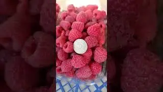Лох Тэй, Маравилла на 28.06 2024.