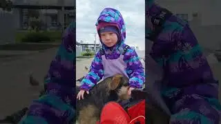 Спросила у Алисы где собачка, а она не глядя начала её гладить. #зимавсочи #лисаалиса #морезимой