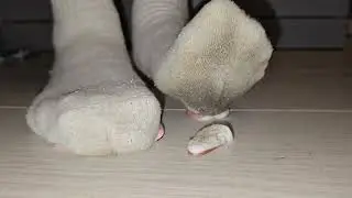 Dirty nike socks trample candy
