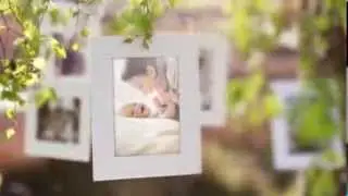 After Effects Project File Photo Gallery on a Sunny Afternoon VideoHive