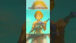Zelda & The Master Sword ✨