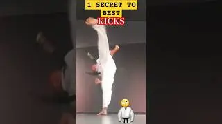How To Be The BEST Kicker 1 SECRET! Flexibility Speed Power Precision: SENSEI🤓SETH STUPIDITY EXPOSED