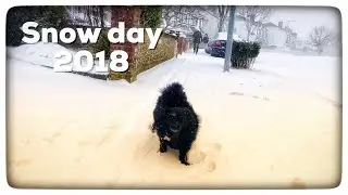 Snow Day 2018