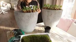 💕 DIY: voorjaar 2016 lente pot vullen met bloembollen | doe het zelf!