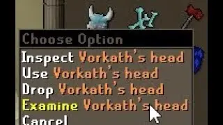 50 Vorkath loot (NEW BOSS)