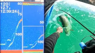 THIN ICE Simcoe Whitefish + Lake Trout 2025