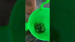 ang ganda ng dagat sa jintotolo island kung walang sakuna..