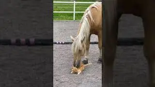 со многими такое было