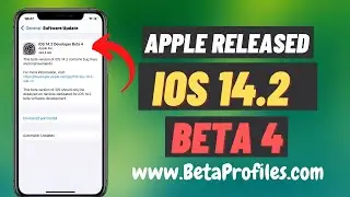 iOS 14.2 Developer Beta 4 Download (Apple Released New iOS14.2 Beta 4)