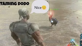 Taming Dodo: Ark Mobile Solo Series