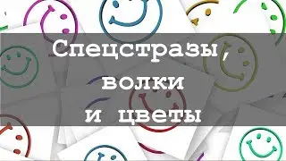 Спецстразы, волки и цветы - где они могут встретиться? Только в очередном отчете СП :)