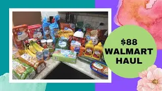 $88 Walmart Grocery Haul | Family of 4 | February 2023