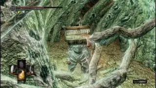 Dark Souls - The Bed of Chaos in One Attempt
