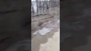 с. Александровское/ ларино. #fishing