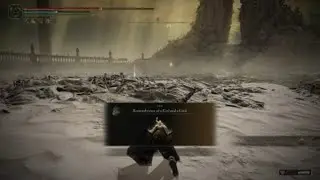 My First Promised Consort Radahn Kill
