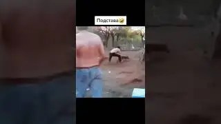 Потеряли пацана #shorts #tiktok