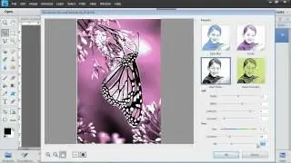 Photoshop Elements 11: Pen and Ink Filter