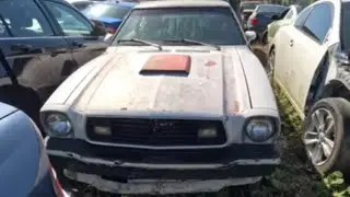 Searching for Classic car parts in a jungle of metal !
