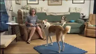 reading 2 signs