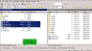 FTP - WinSCP -  Uploading Files
